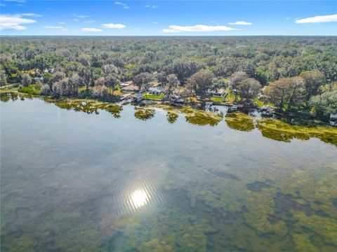 Photo of 4192 Cr 400, Lake Panasoffkee, FL 33538 (MLS # O6363687)
