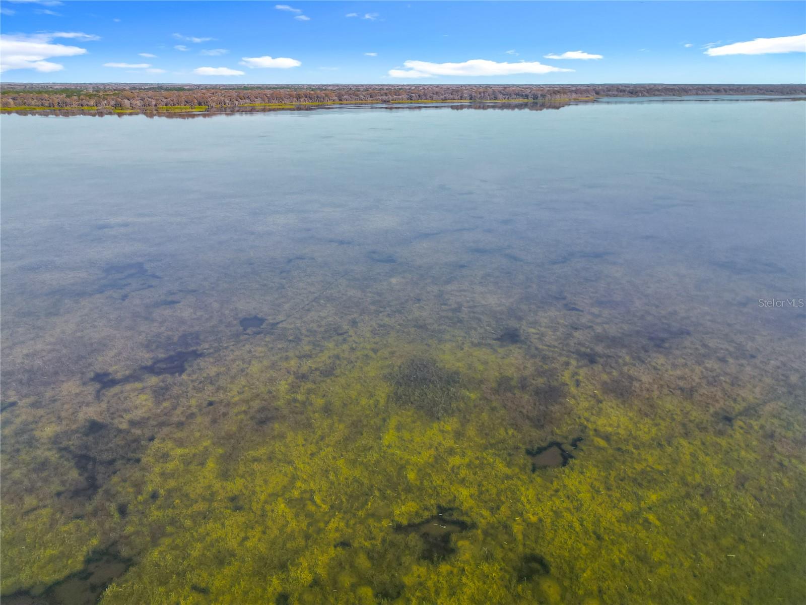 IDLEWILD PARK - Residential