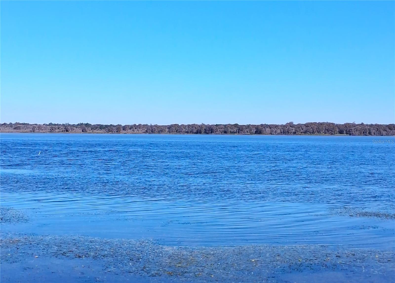 IDLEWILD PARK - Residential