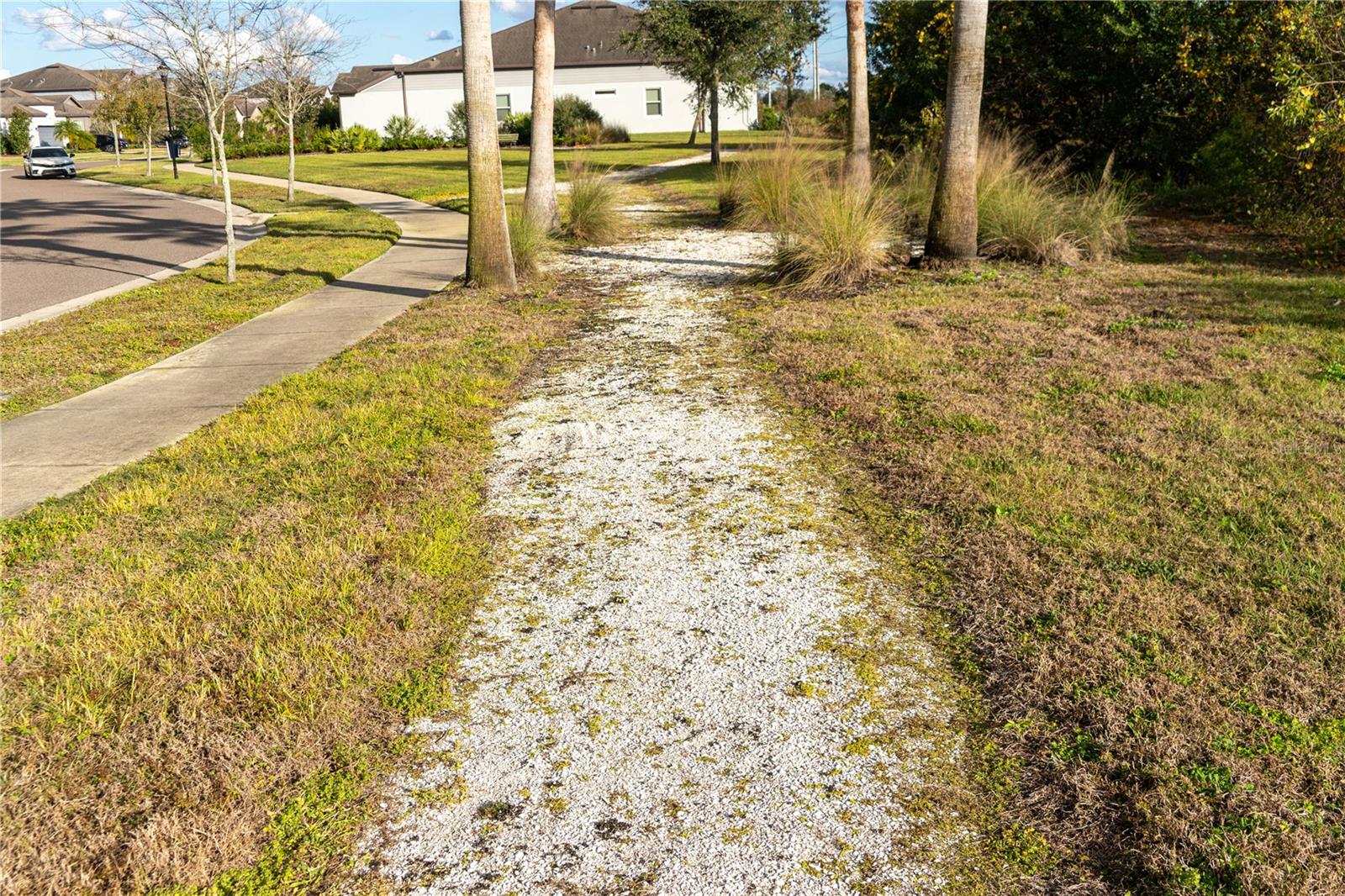 SOUTH FORK TR P PH 1A & - Residential