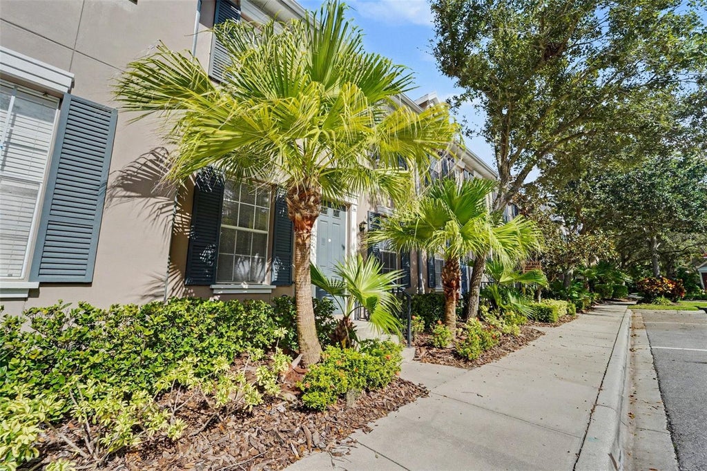 Photo of 11504 Fountainhead Drive, Tampa, FL 33626 (MLS # O6450372)