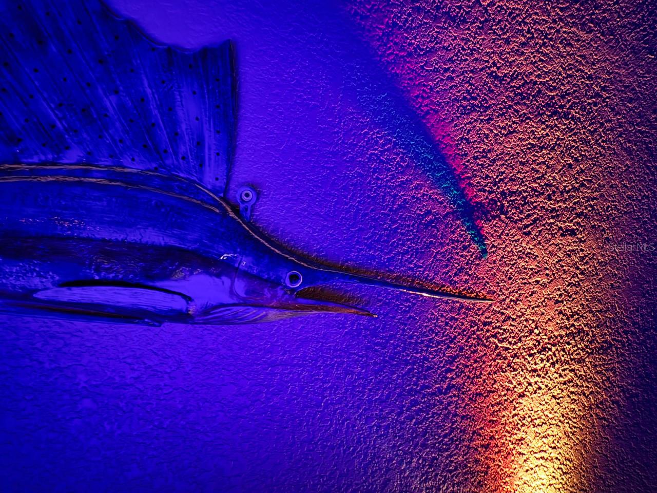 HERNANDO BEACH - Residential