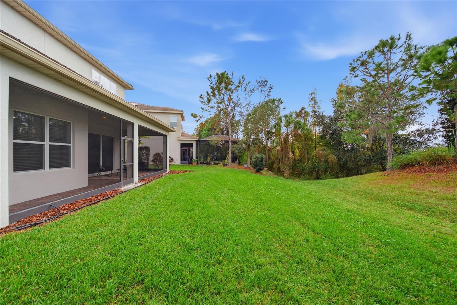 THE RIDGE AT WIREGRASS RANCH - Residential