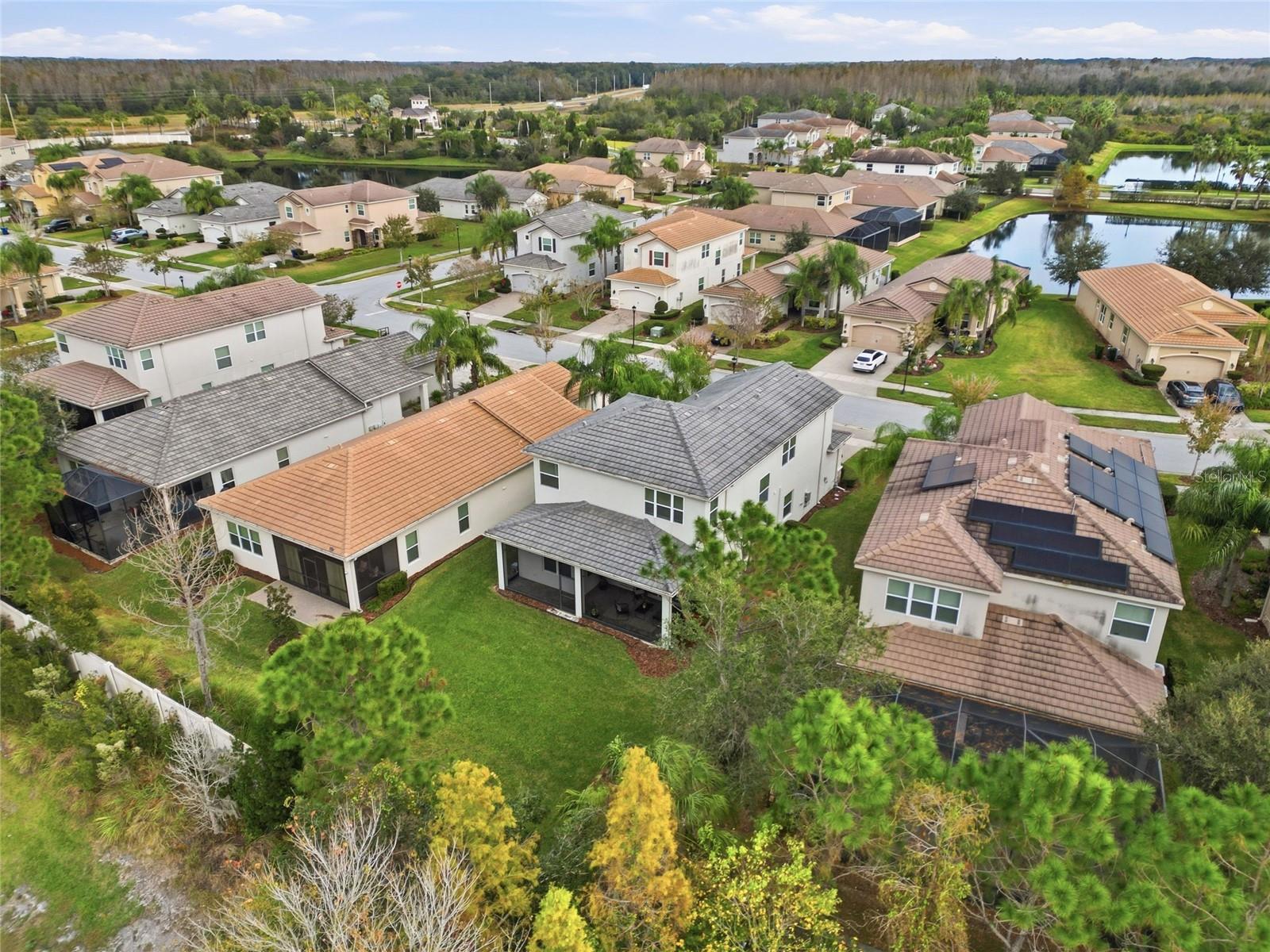 THE RIDGE AT WIREGRASS RANCH - Residential