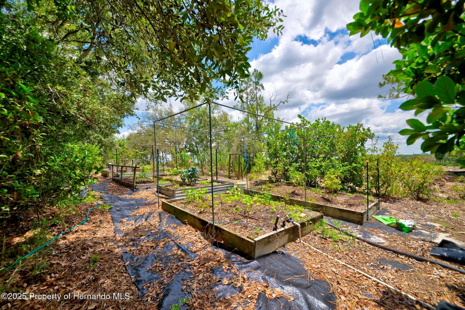WOODLAND WATERS - Residential