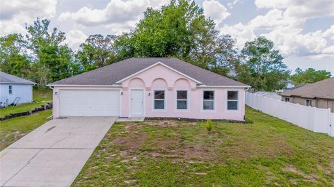 Photo of 14006 Amero Lane, Spring Hill, FL 34609 (MLS # TB8400279)