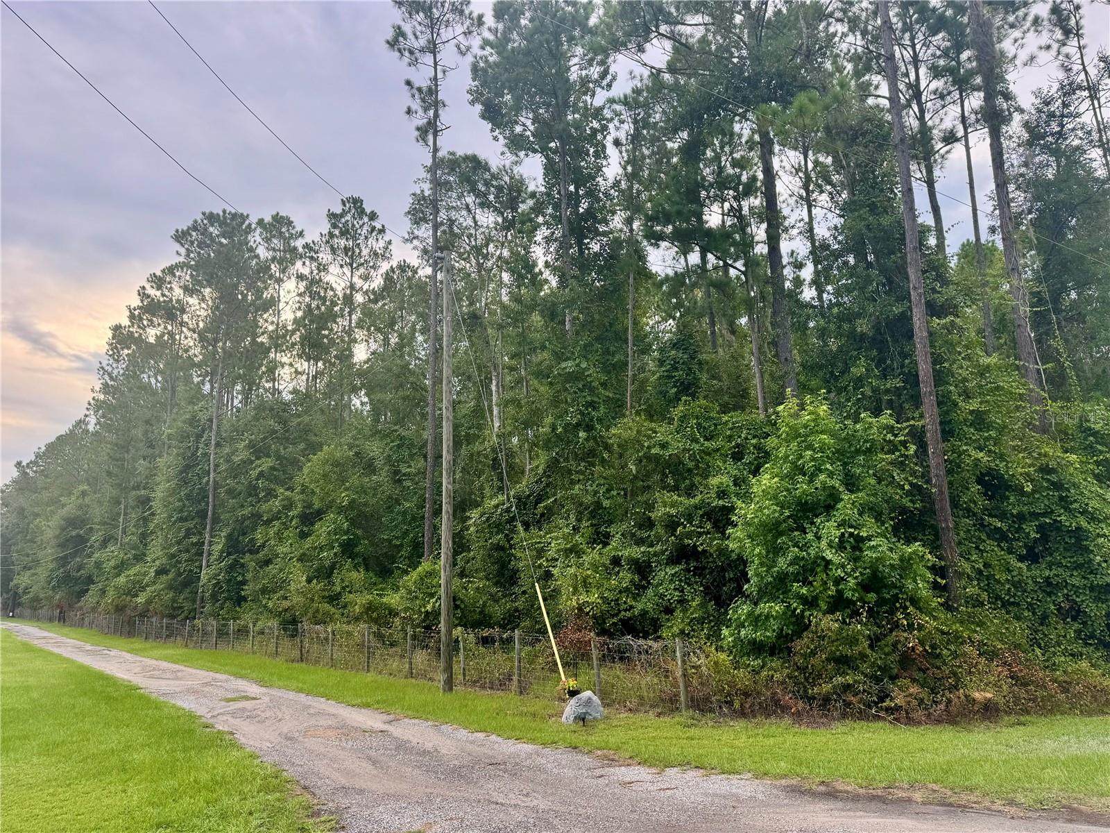Opportunity of a Lifetime – 5 Acres of Untouched Beauty in Columbia County, FL! Discover your slice of paradise in North Florida with this gorgeous 5-acre wooded property tucked away in the heart of Columbia County. Whether you're dreaming of building your forever home, creating a secluded getaway, or investing in land with endless potential, this rare gem offers unmatched privacy, peace, and possibility. Surrounded by towering pines and native hardwoods, this property provides a serene natural setting that’s perfect for those seeking space to roam, breathe, and build. With no HOA and minimal restrictions, you have the freedom to bring your vision to life, whether it’s a custom home, tiny house, cabin, or even a homestead retreat. Conveniently located from Lake City, Lake Butler, High Springs, and a very short drive to I-75, you're never far from modern amenities, shopping, dining, and outdoor adventures like Ichetucknee Springs and Osceola National Forest. Some Highlights: 5 pristine wooded acres, Abundant wildlife, Peaceful, private setting with road access, Ideal for residential, recreational, or investment use, Power nearby and ready for your dream build! This is more than just land, it’s a chance to own a piece of Florida’s natural beauty and create a legacy for generations to come. Don’t miss this opportunity of a lifetime, your private North Florida haven awaits!