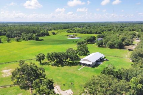 Photo of 28120 Brandiff Road, Myakka City, FL 34251 (MLS # A4658010)