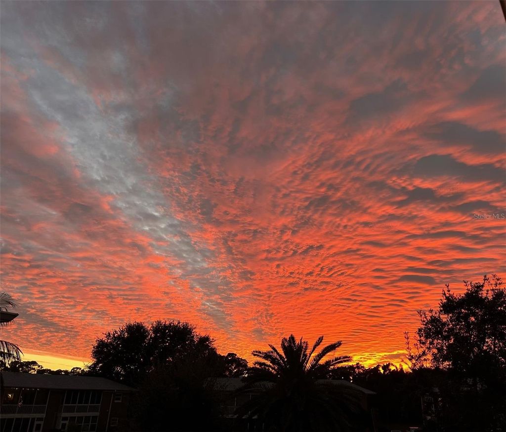 Photo of 3947 35th Way S #131, St Petersburg, FL 33711 (MLS # TB8469456)