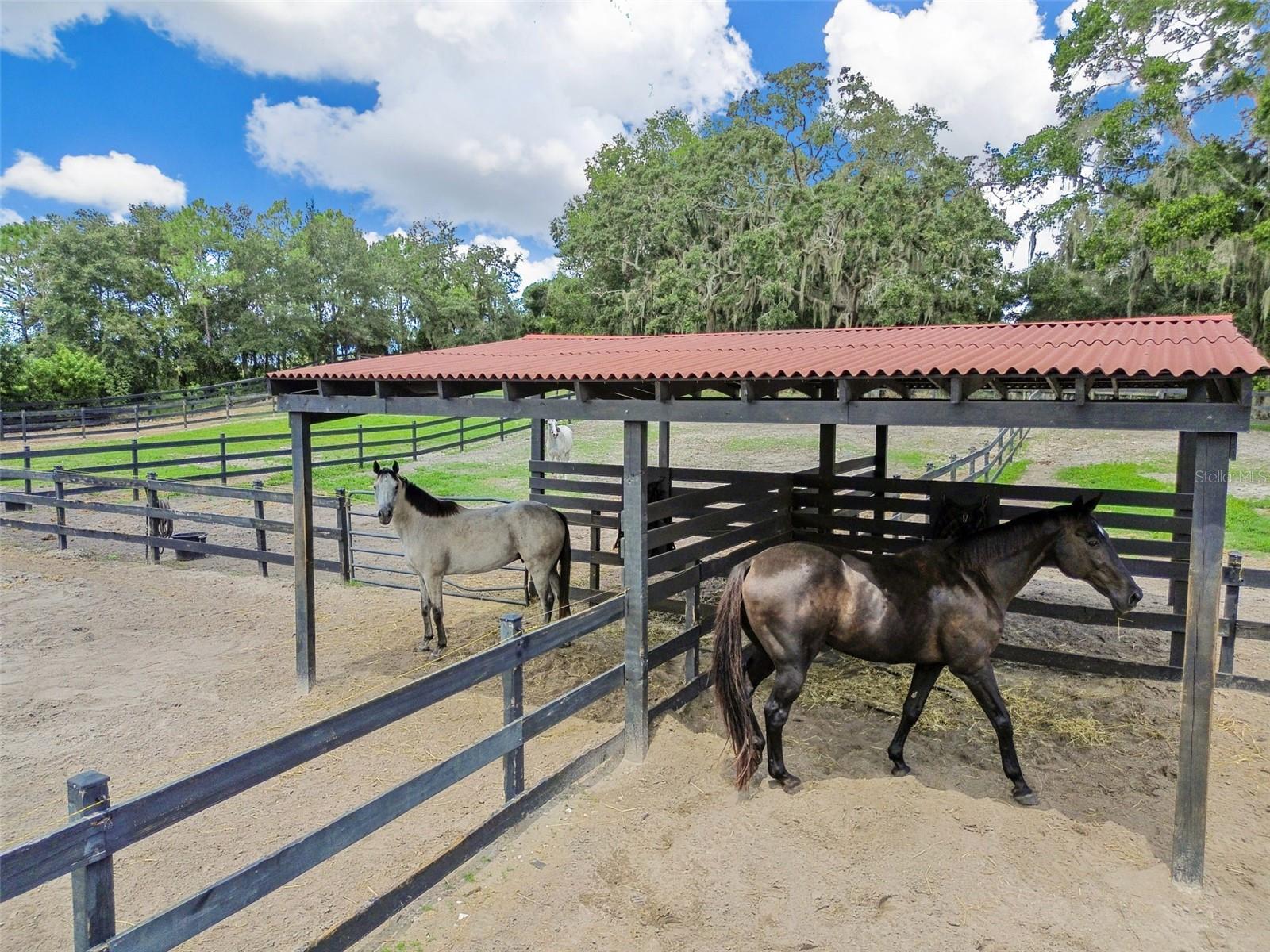 TAMPA & TARPON SPGS LAND CO - Residential