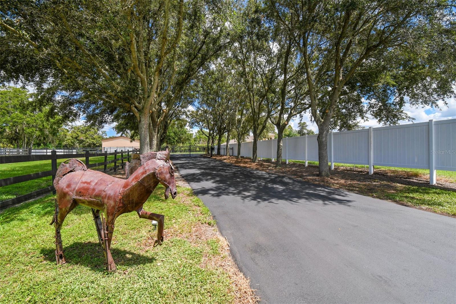 TAMPA & TARPON SPGS LAND CO - Residential