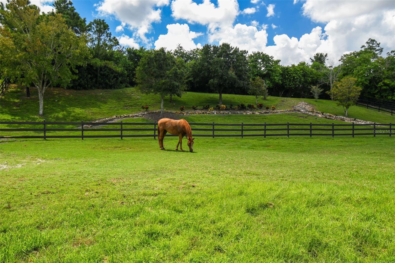 TAMPA & TARPON SPGS LAND CO - Residential