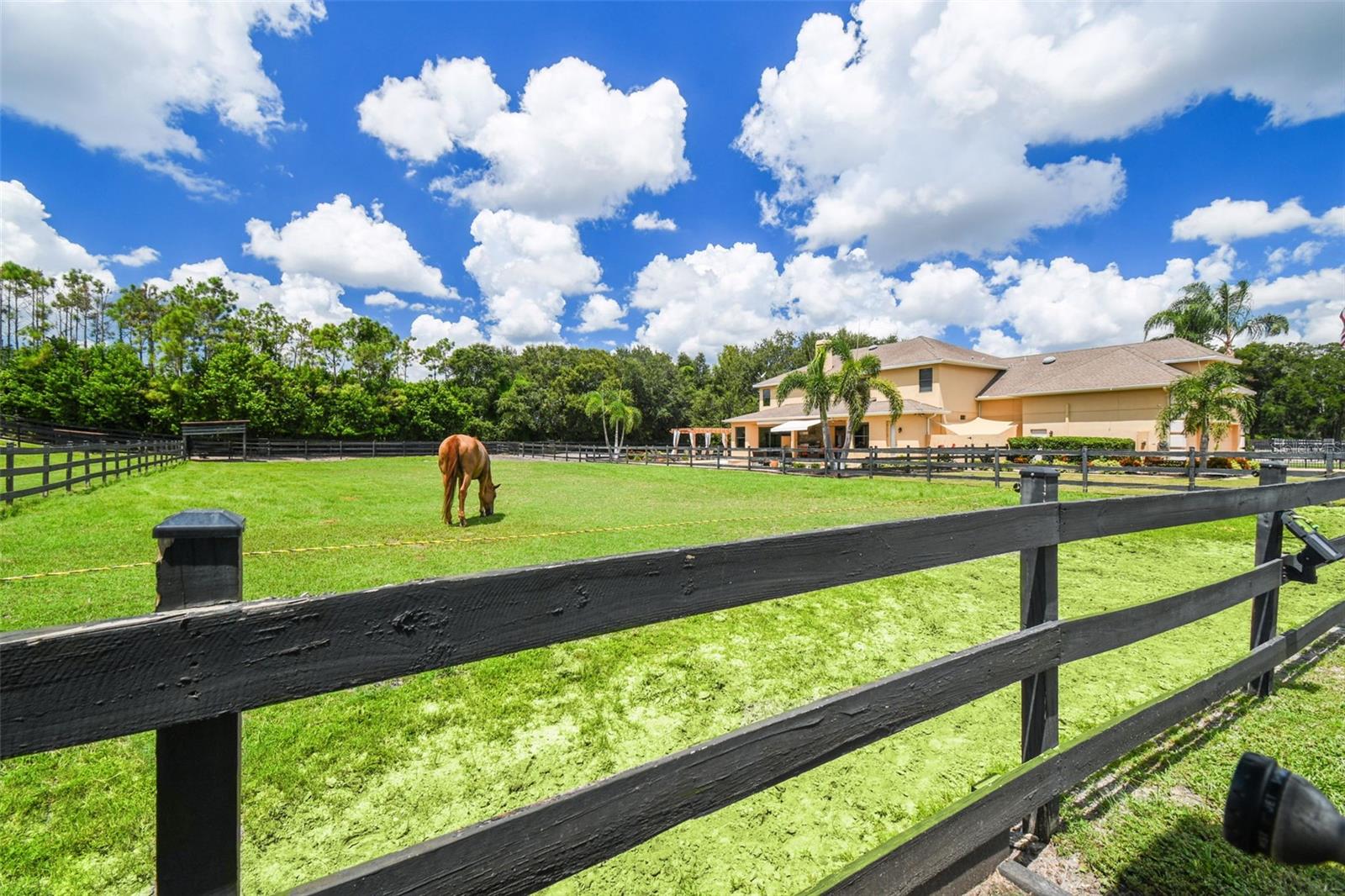 TAMPA & TARPON SPGS LAND CO - Residential