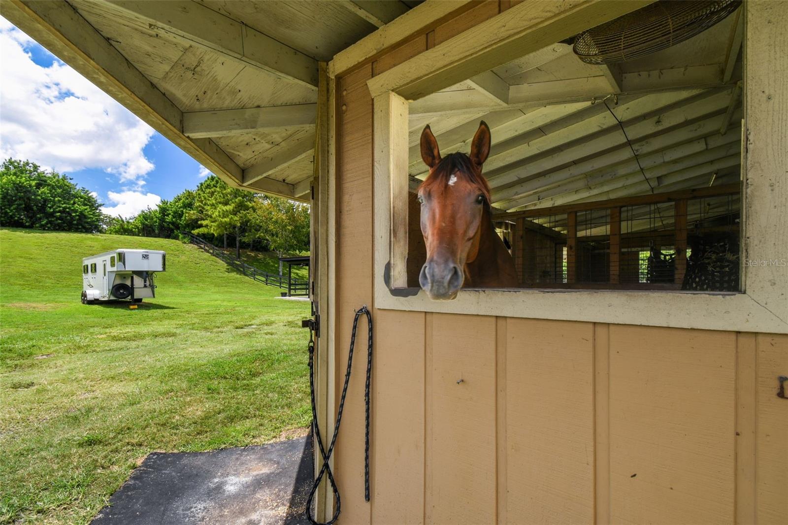 TAMPA & TARPON SPGS LAND CO - Residential