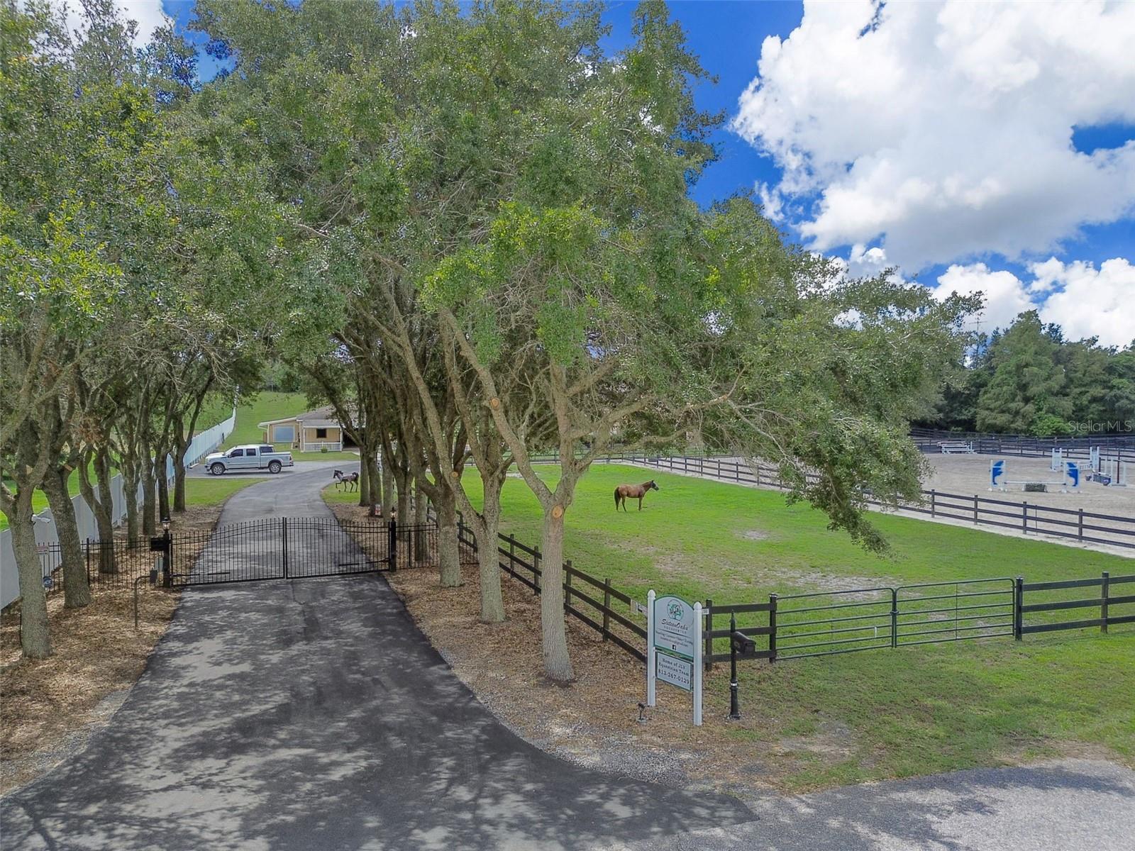 TAMPA & TARPON SPGS LAND CO - Residential