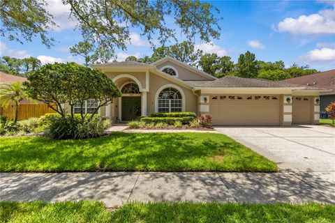 Photo of 10522 Chambers Drive, Tampa, FL 33626 (MLS # TB8523391)