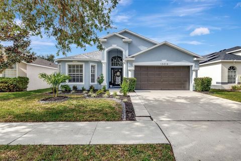 A home in RIVERVIEW