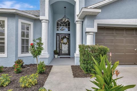 A home in RIVERVIEW