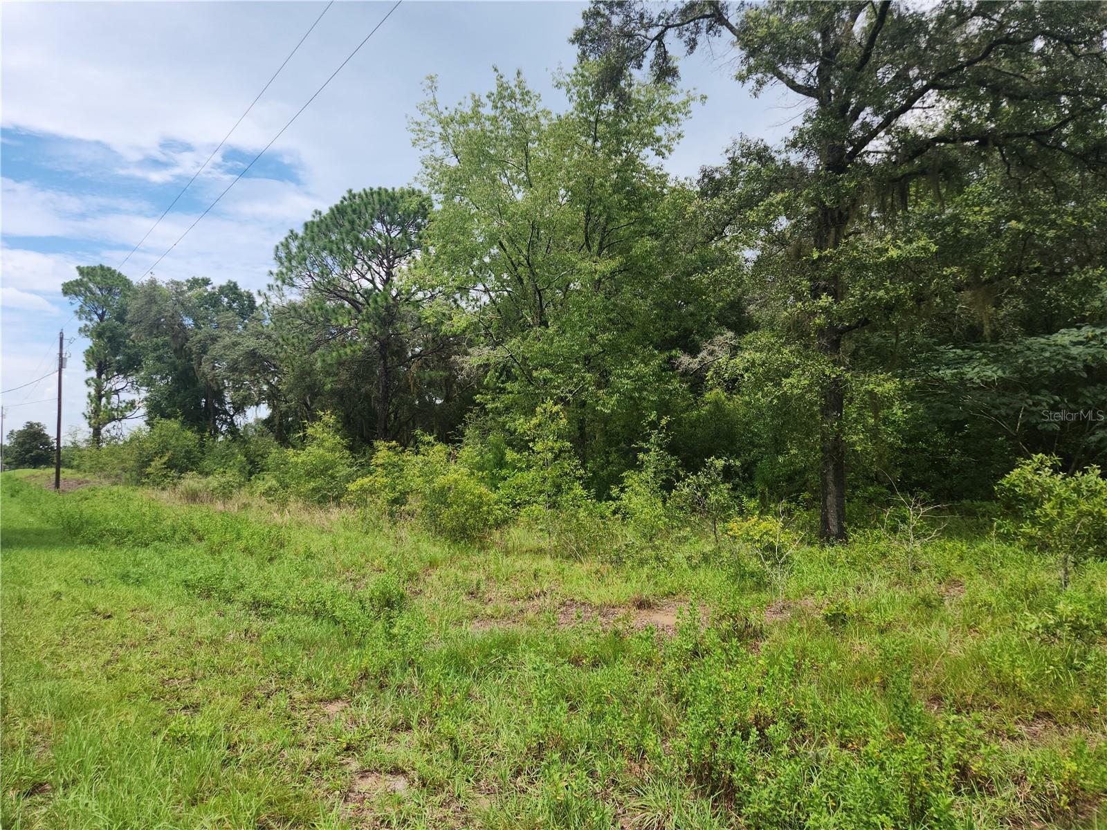 Rainbow Lakes Estates" High & Dry VERY NICE WOODED 1.01 Acre lot. Three lakes for boating, fishing, and the Rainbow Springs State Park is just a short drive away where you can enjoy nature walks among the mature azaleas, bird watching, kayaking and swimming at the head of this pristine first magnitude spring, starting the Rainbow River. 12 miles from the historic and beautiful "Rainbow River" town of Dunnellon. Nearby amenities that will be attracting those looking to move out of overcrowded suburbia: 26 miles to the fabulous World Equestrian Center. 25 miles to beautiful Yankee town and the Gulf of Mexico. About 2 hours to Tampa or Orlando, the community boasts a boat ramp, community center, park & playground. NO HOA FEES. Only Site Built Homes are allowed. NO MOBILE HOMES