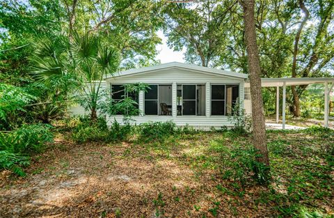 A home in ZEPHYRHILLS