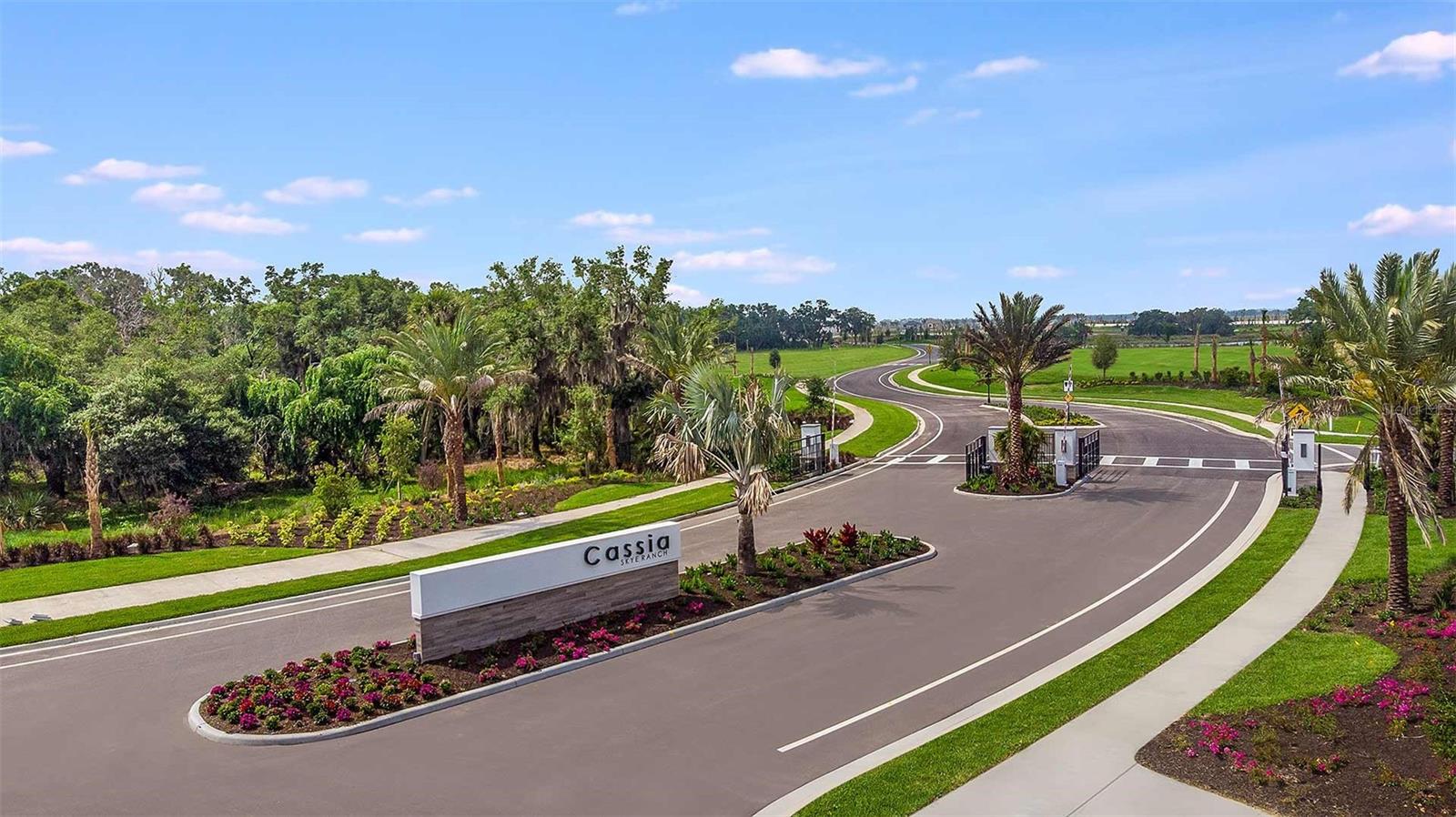 CASSIA AT SKYE RANCH - Residential