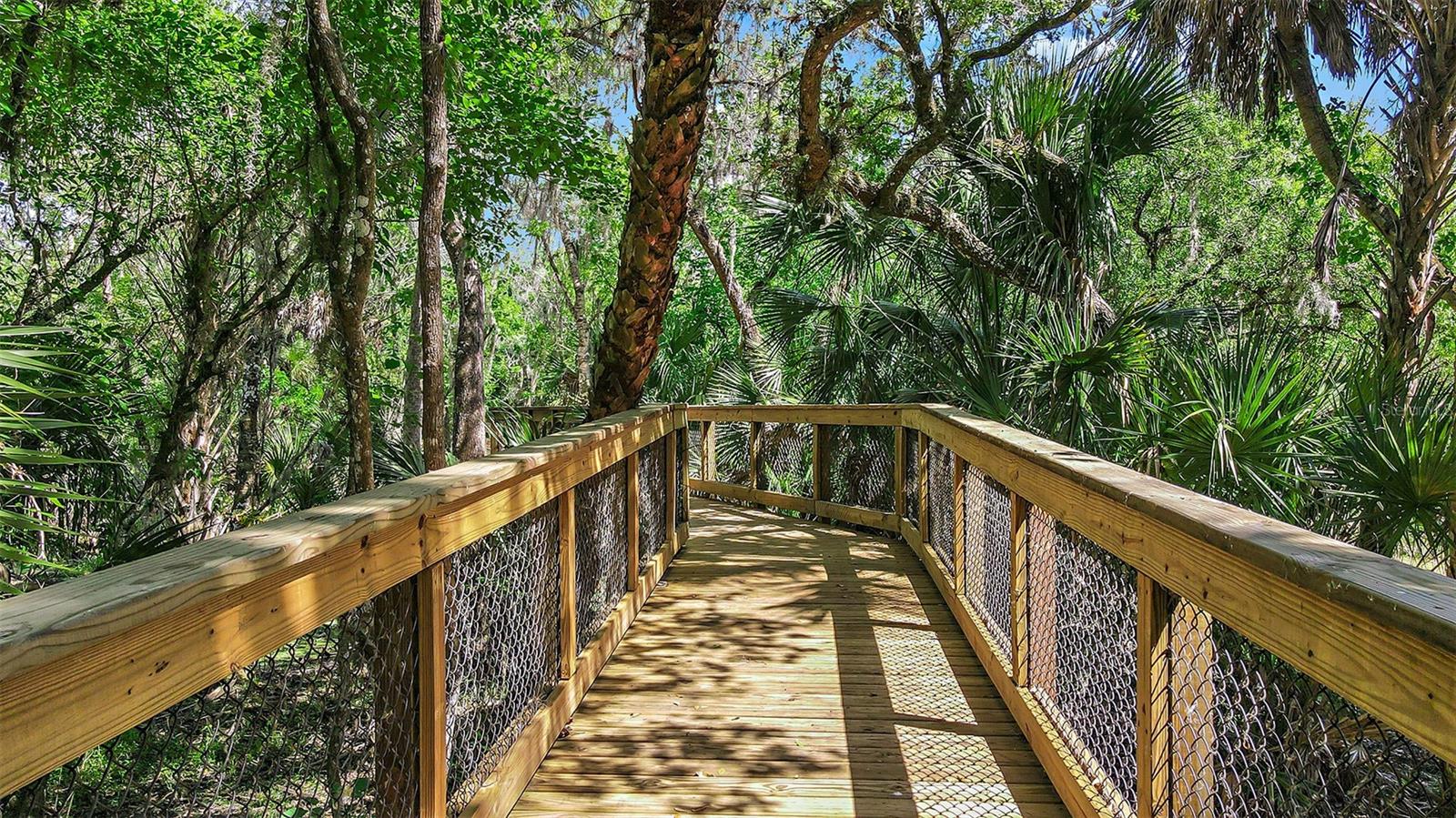 CASSIA AT SKYE RANCH - Residential