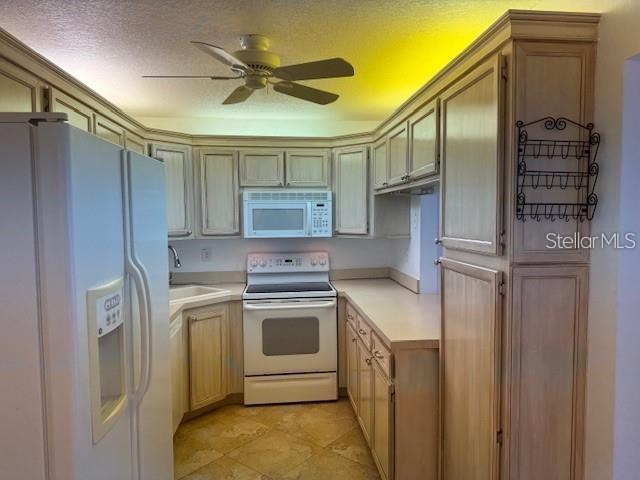 PINE RIDGE AT LAKE TARPON VILLAGE - Residential Lease