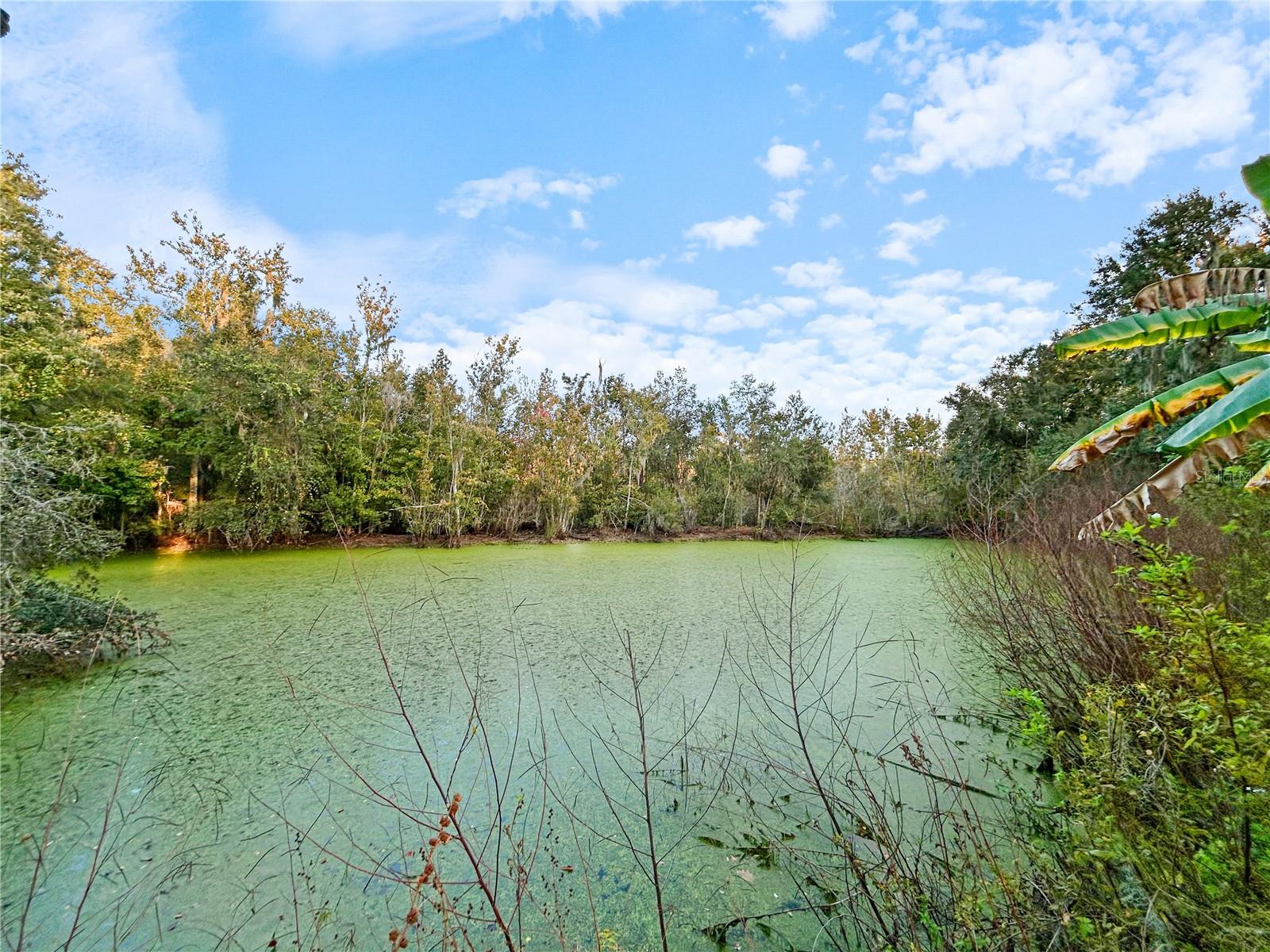 UNPLATTED - Residential