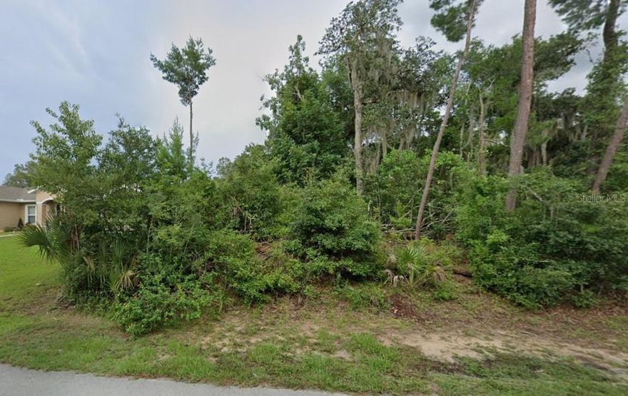 Build your dream home on this 1/4 acre lot in the beautiful city of Palm Coast. Close to shops, beaches, golf courses and all that Flagler County offers.