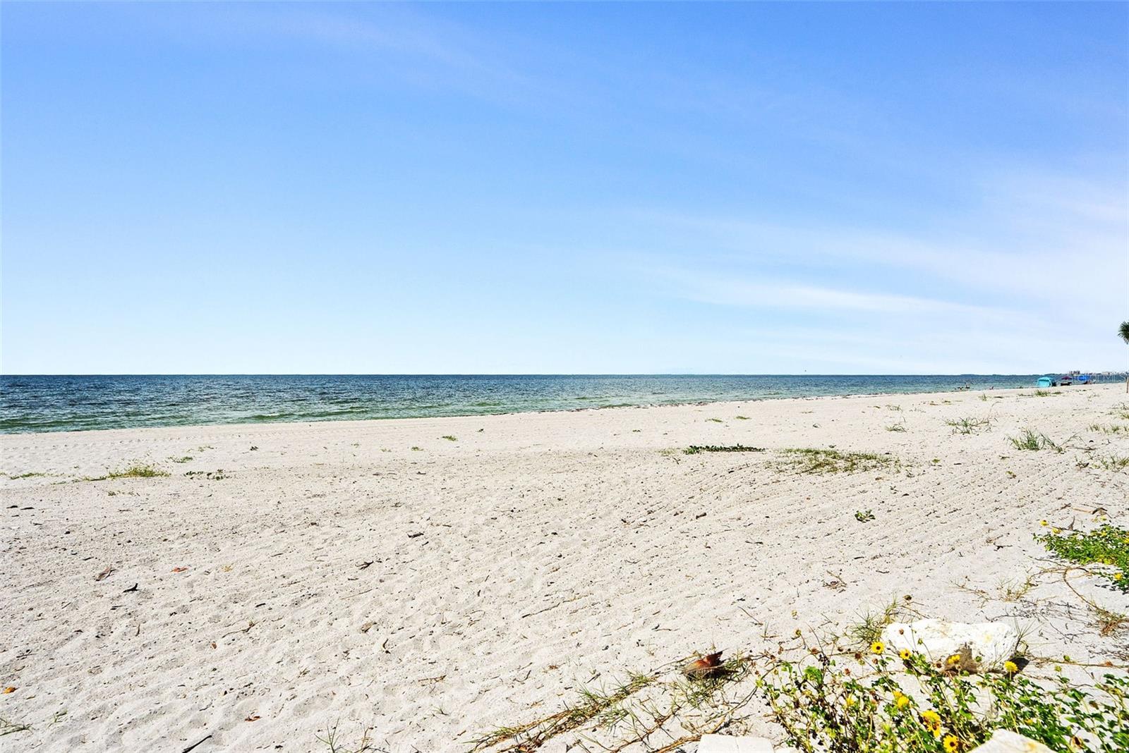 DANS ISLAND ON SAND KEY CONDO - Residential Lease