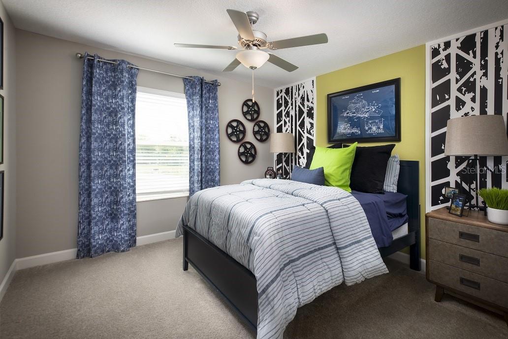 32124 POWDERPUFF MIMOSA DRIVE