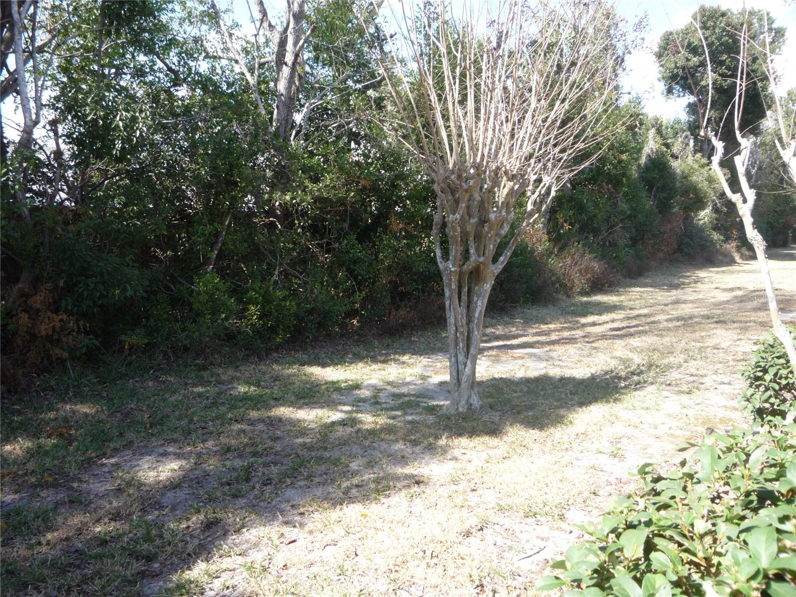 BREEZEWOOD VILLAGE CONDO PH 01-04 - Residential