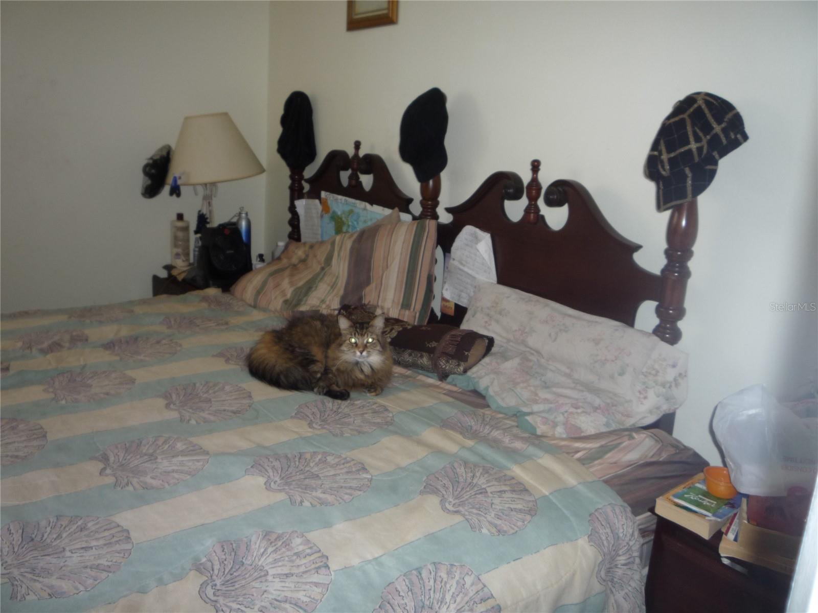 BREEZEWOOD VILLAGE CONDO PH 01-04 - Residential