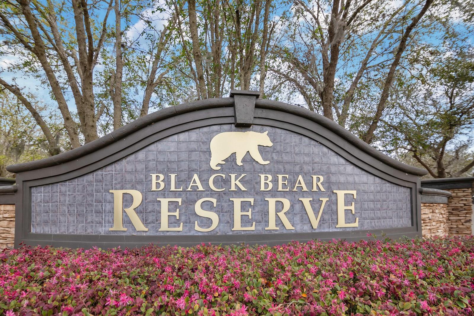 ESTATES AT BLACK BEAR - Land