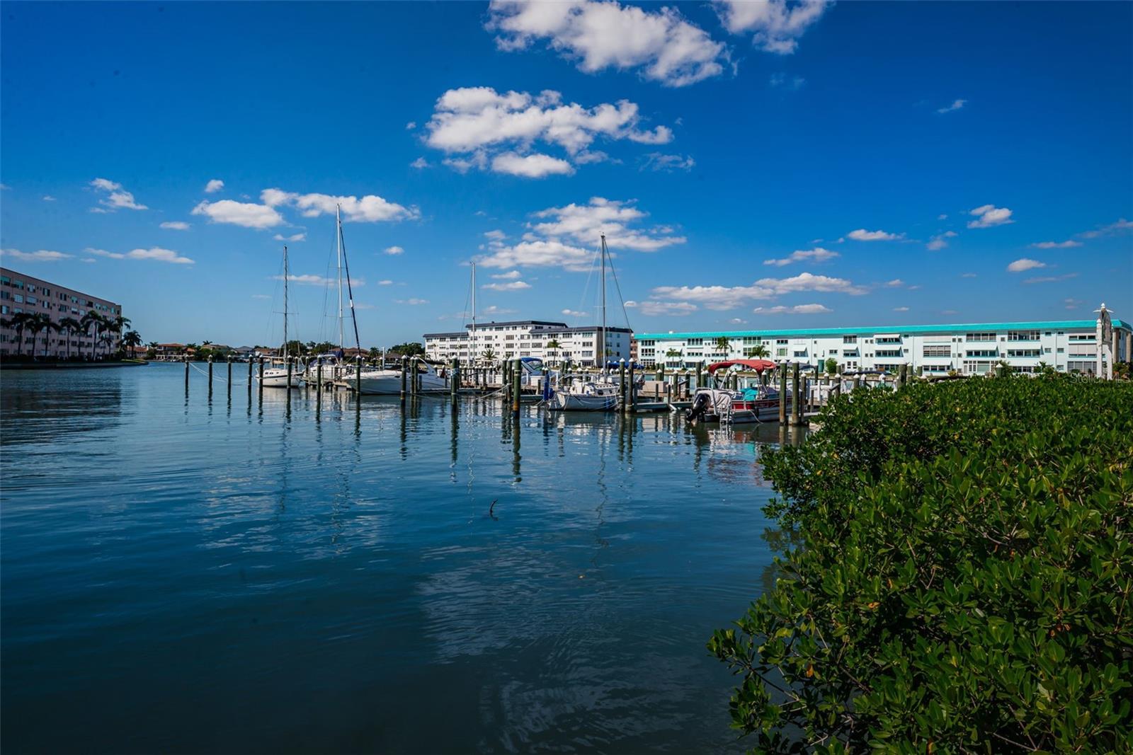 TOWN SHORES OF GULFPORT - Residential