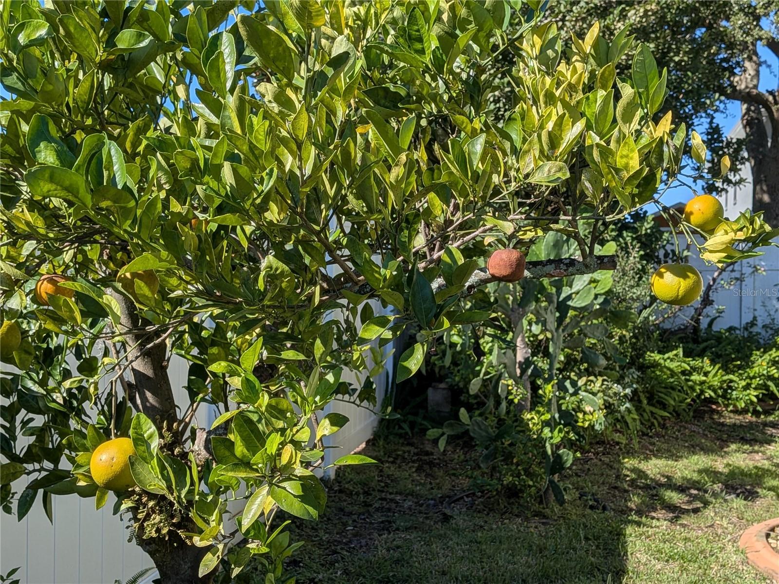 PALM COAST SEC 32 - Residential