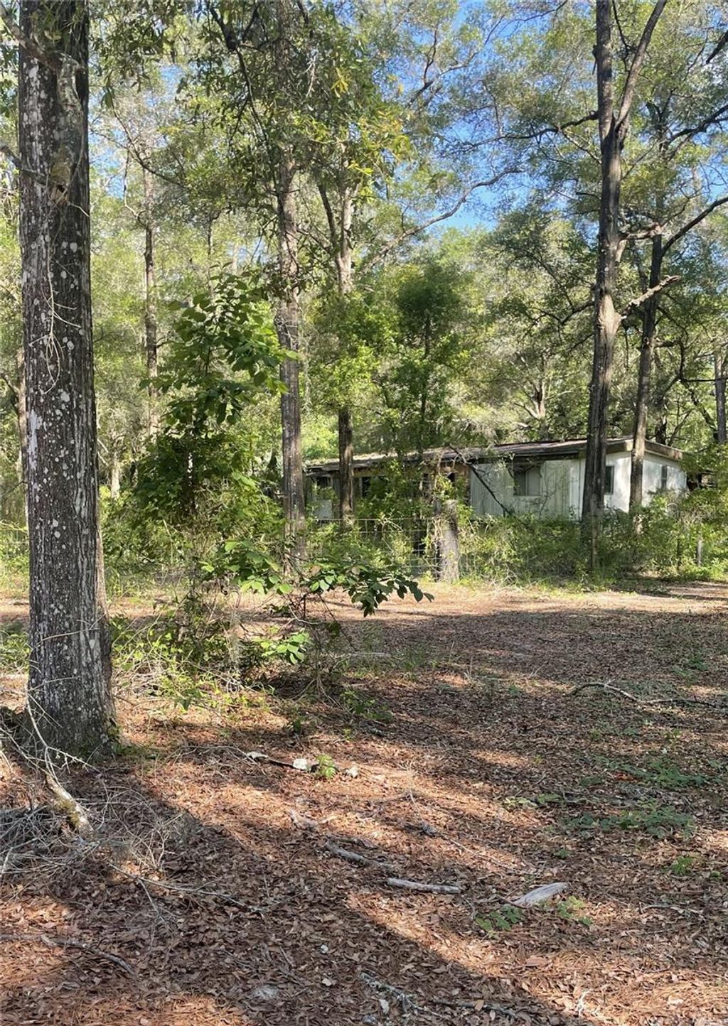 Photo of 10390 SW 153rd Lane, Dunnellon, FL 34432 (MLS # OM724873)