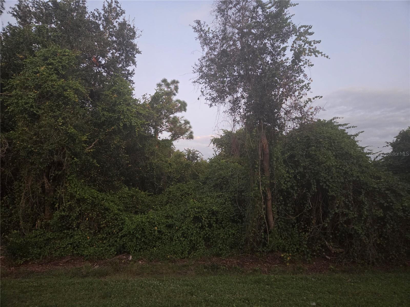 PEACE RIVER SHORES - Land