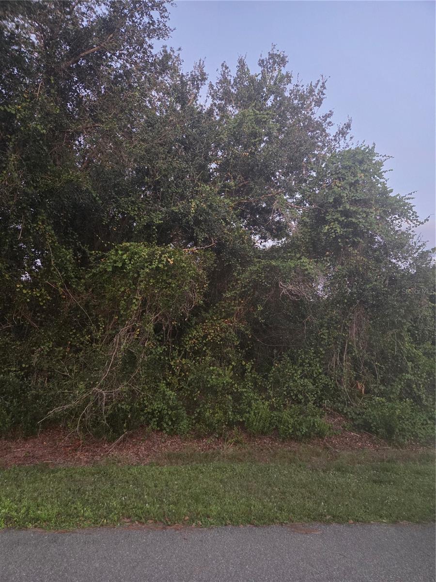 PEACE RIVER SHORES - Land