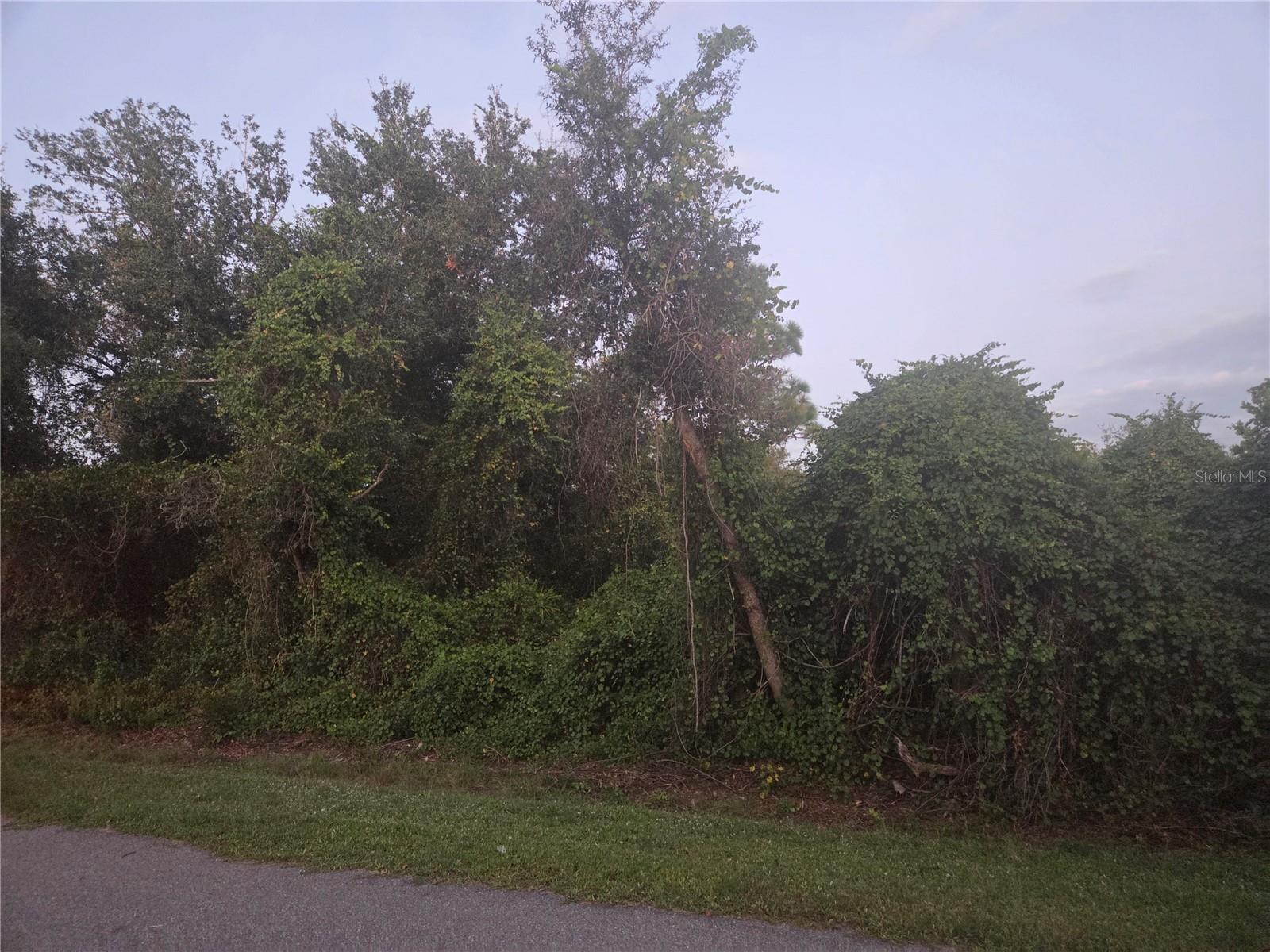 PEACE RIVER SHORES - Land