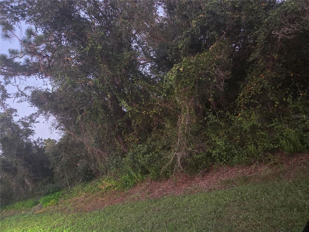 Photo of 150 Richlawn Avenue, Punta Gorda, FL 33982 (MLS # C7516815)