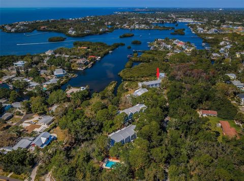 A home in PALM HARBOR