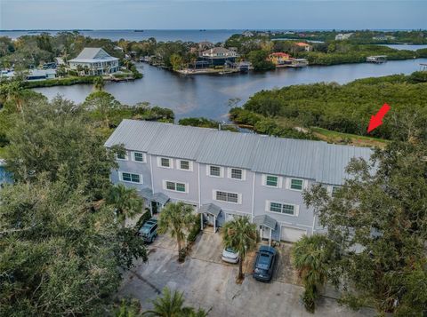 A home in PALM HARBOR