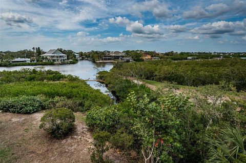 A home in PALM HARBOR