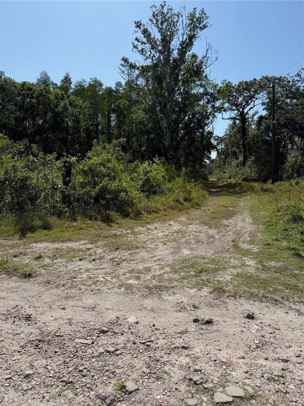 Photo of Elza Street, New Port Richey, FL 34654 (MLS # TB8372475)