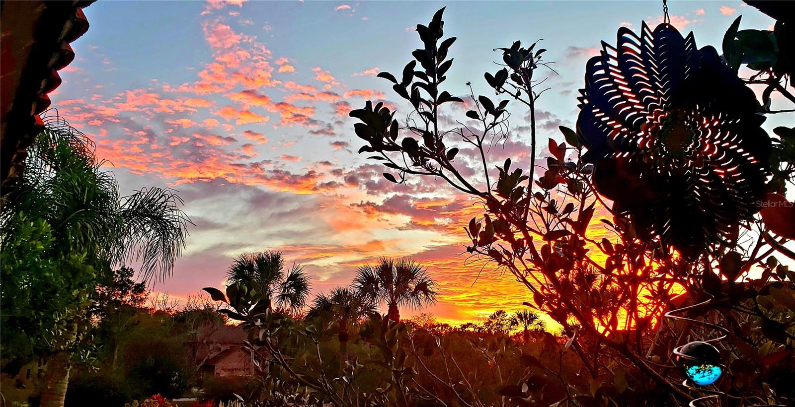 SANDAL COVE CONDO - Residential