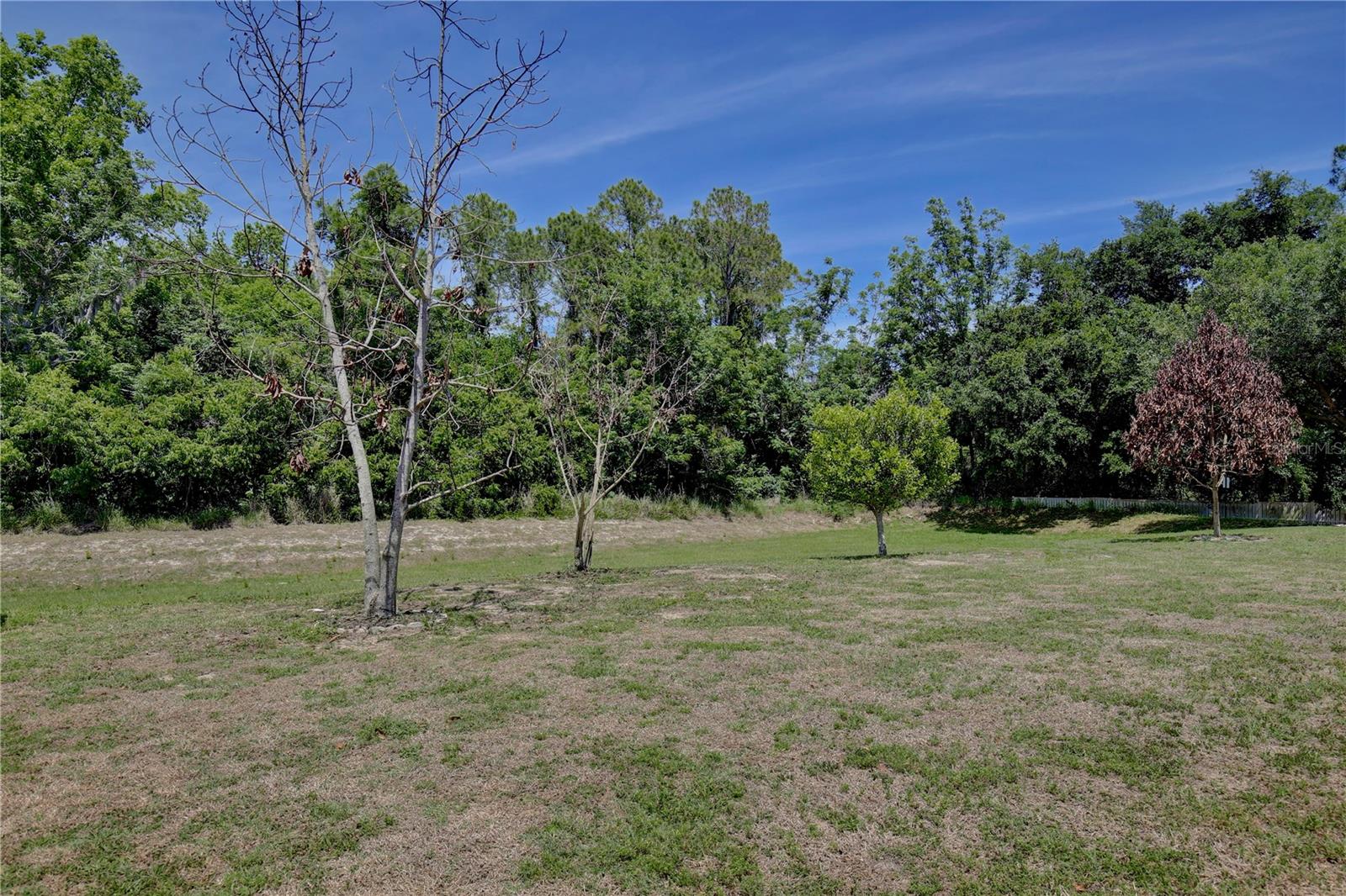 LEESBURG SLEEPY HOLLOW FIRST ADD - Residential