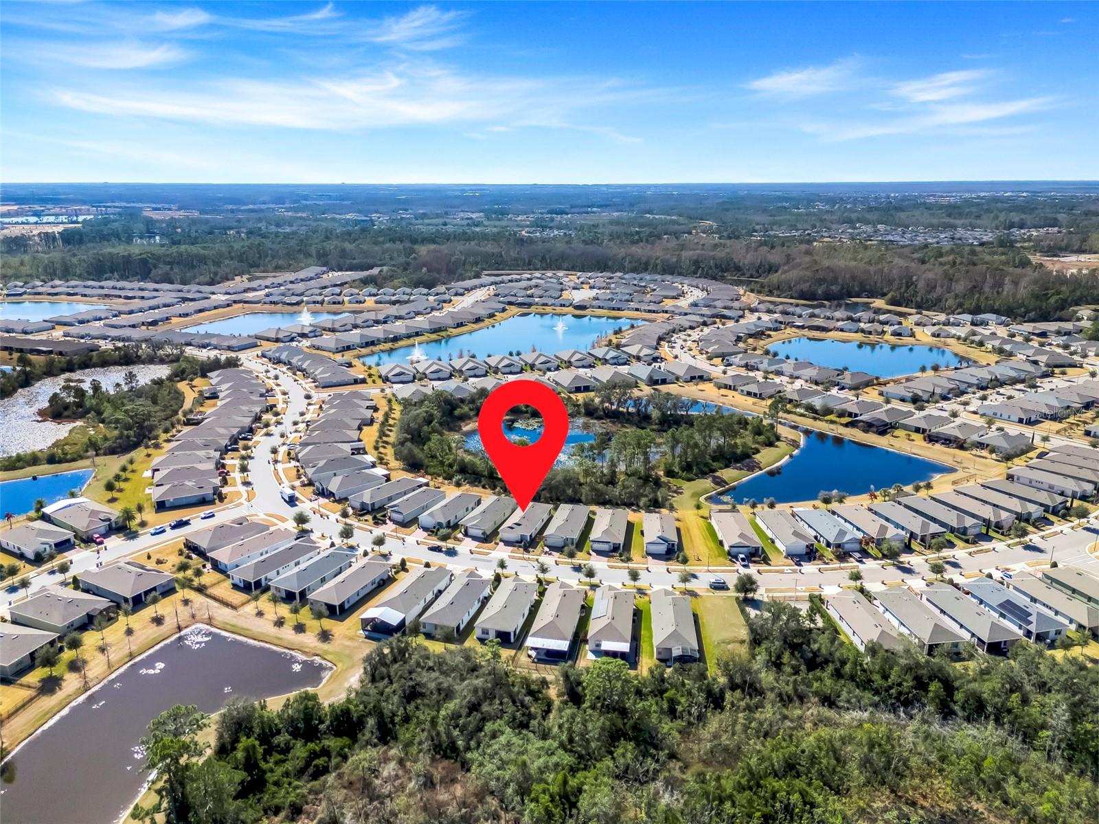 PALMS AT SERENOA - Residential