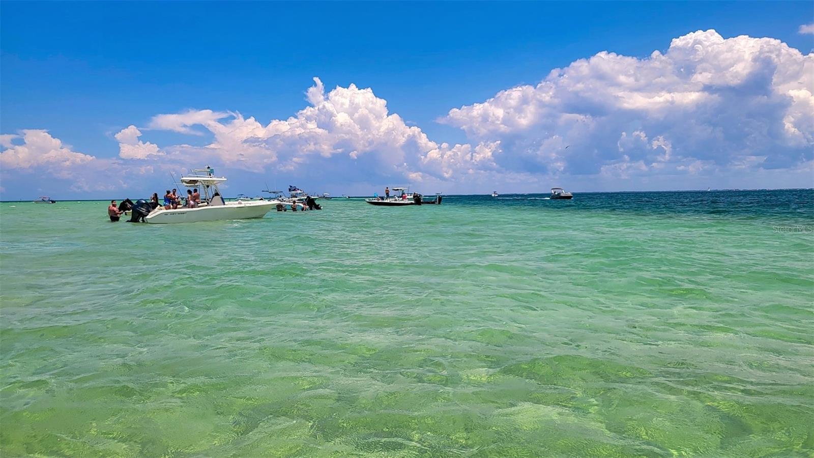 REGENCY PALMS CONDOMINIUMS - Residential