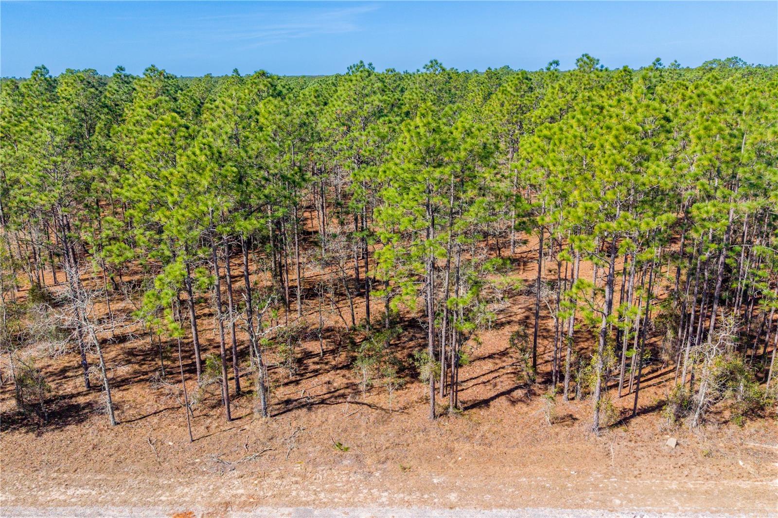 RAINBOW LAKES ESTATE - Land